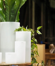 이미지를 갤러리 뷰어에 로드 , Polycarbonate Cylinder Vase By FOYER Φ10×H60cm 7,255yen(FOB)/pcs