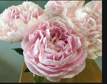 이미지를 갤러리 뷰어에 로드 , Paeonia lactiflora Kaguyahime 80cm 260yen/pcs 90pcs