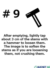 이미지를 갤러리 뷰어에 로드 , CNY/LNY2026 Spiraea cantoniensis 110cm 80pcs 340yen/pcs