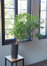 Load image into Gallery viewer, MC Long corn pot H40cm 3,740yen/unit FOB