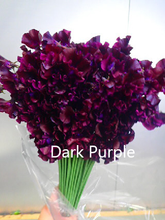 이미지를 갤러리 뷰어에 로드 , Lathyrus odoratus 50cm 800pcs 75yen/pcs(FOB)