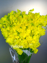 이미지를 갤러리 뷰어에 로드 , Lathyrus odoratus 50cm 800pcs 75yen/pcs(FOB)