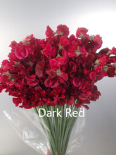 이미지를 갤러리 뷰어에 로드 , Lathyrus odoratus 50cm 800pcs 75yen/pcs(FOB)