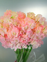 이미지를 갤러리 뷰어에 로드 , Lathyrus odoratus 50cm 800pcs 75yen/pcs(FOB)
