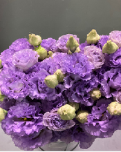 이미지를 갤러리 뷰어에 로드 , Eustoma 60cm 500yen/pcs 80pcs
