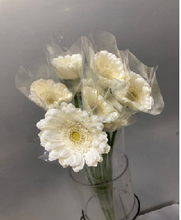 Load image into Gallery viewer, Gerbera form Hainan 50cm 300pcs @100yen(FOB)
