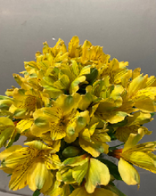 Load image into Gallery viewer, Alstroemeria　70cm 200pcs @215yen(FOB)
