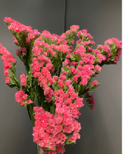 이미지를 갤러리 뷰어에 로드 , Limonium sinuatum  70cm 5Flowers  100pcs @60yen(FOB)
