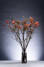 Load image into Gallery viewer, Rhododendron obtusum 120cm 250yen/pcs  50pcs
