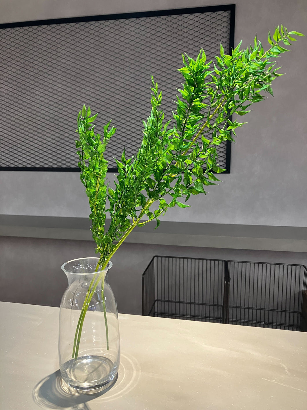 Preserved Ruscus Flesh Green 50-70cm   725yen(FOB)  3-4stems/pck