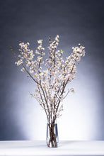 이미지를 갤러리 뷰어에 로드 , Prunus Cherry Blossom 125cm 415yen/pcs 60pcs
