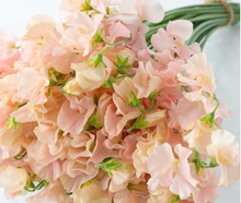 Load image into Gallery viewer, CNY/LNY2025 Lathyrus odoratus 50cm  65yen/pcs 800pcs
