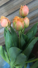 Load image into Gallery viewer, Tulipa Mix  40cm 150yen/pcs(FOB)  200pcs
