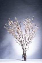 이미지를 갤러리 뷰어에 로드 , CNY/LNY2025 Prunus Cherry Blossom 165cm 1070yen/pcs 10pcs
