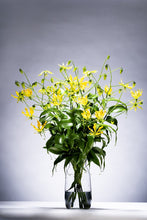 將圖片載入圖庫檢視器 Gloriosa Yellow 80cm  380yen/pcs  40pcs
