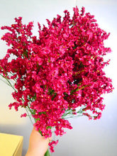 이미지를 갤러리 뷰어에 로드 , Limonium sinense 75cm  190yen/pcs(FOB)  40pcs
