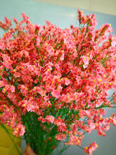 이미지를 갤러리 뷰어에 로드 , Limonium sinense 75cm  190yen/pcs(FOB)  40pcs
