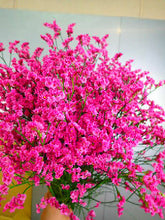 将图片加载到图库查看器，Limonium sinense 75cm  190yen/pcs(FOB)  40pcs
