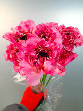 이미지를 갤러리 뷰어에 로드 , CNY/LNY2024 Ranunculus   Charlotte  (Carno)  525yen/pcs 200pcs
