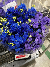 將圖片載入圖庫檢視器 Delphinium grandiflorum Spray 60cm 190yen/pcs 150pcs
