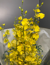 이미지를 갤러리 뷰어에 로드 , Onchidium 80cm @165yen(FOB) 180pcs
