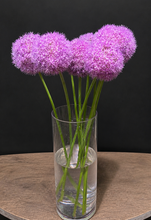 将图片加载到图库查看器，Allium Giganteum 70cm 165yen/pcs 100pcs
