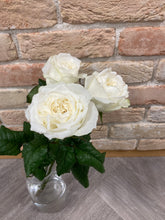 Load image into Gallery viewer, Rosa &#39; Chef-d&#39;œuvre&#39;　60cm 150yen(FOB) /pcs   40pcs
