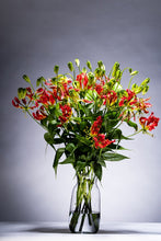 將圖片載入圖庫檢視器 Gloriosa &#39;Southern Wind&#39;  (Normal) 80cm 315yen/pcs 50pcs
