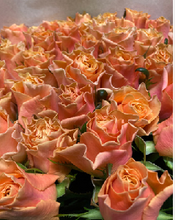 Load image into Gallery viewer, Rose &quot;Heguri rose&quot; 60cm 200pcs @190yen(FOB/pcs)
