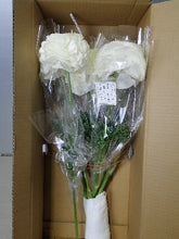 將圖片載入圖庫檢視器 Ranunculus 60-70cm 525yen/pcs 50pcs (Rhone) White
