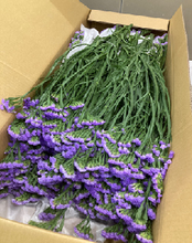 이미지를 갤러리 뷰어에 로드 , Limonium sinuatum  70cm 5Flowers  100pcs @60yen(FOB)
