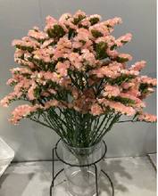 이미지를 갤러리 뷰어에 로드 , Limonium sinuatum  70cm 5Flowers  100pcs @60yen(FOB)
