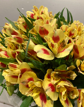 Load image into Gallery viewer, Alstroemeria　70cm 200pcs @215yen(FOB)

