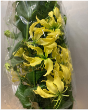 將圖片載入圖庫檢視器 Gloriosa "Sunshine" 90cm  @400yen(FOB)/pcs 40pcs
