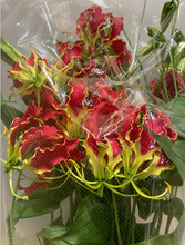 将图片加载到图库查看器，Gloriosa Royal 80cm  340yen/pcs(FOB)  40pcs
