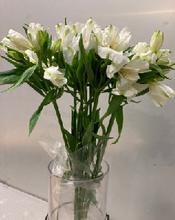 Load image into Gallery viewer, Alstroemeria　70cm 200pcs @215yen(FOB)
