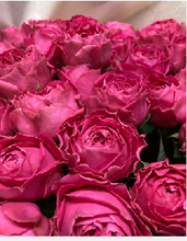 Load image into Gallery viewer, Rose &quot;Heguri rose&quot; 60cm 200pcs @190yen(FOB/pcs)
