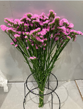 이미지를 갤러리 뷰어에 로드 , Limonium sinuatum  70cm 5Flowers  100pcs @60yen(FOB)
