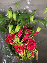 将图片加载到图库查看器，Gloriosa Royal 80cm  340yen/pcs(FOB)  40pcs
