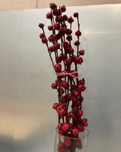 Load image into Gallery viewer, Hibiscus sabdariffa 70cm 50pcs @100yen(FOB)
