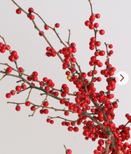 将图片加载到图库查看器，Ilex serrata 100cm 10pcs  @750yen(FOB)
