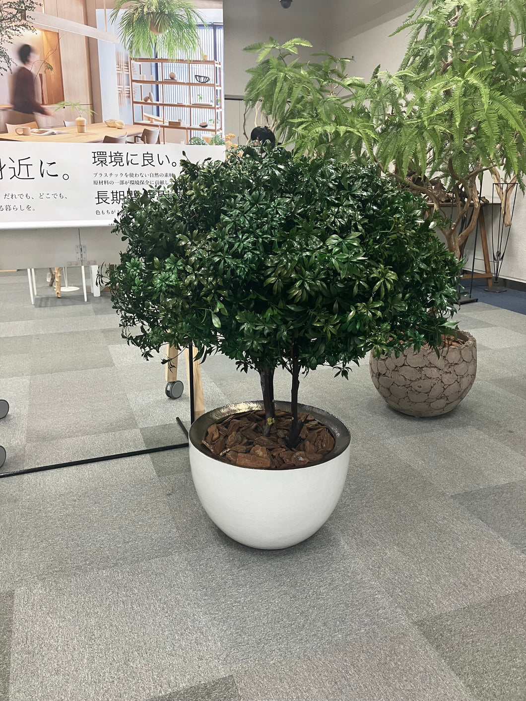 Preserved Green Pot (assembly kit) 1,2m  1pot @300,000yen(FOB)