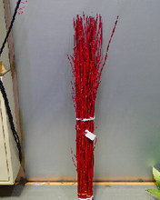 이미지를 갤러리 뷰어에 로드 , Cornus alba Red 120cm 150yen(FOB)  100pcs
