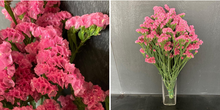 Load image into Gallery viewer, Limonium sinuatum  60cm 5-6Flowers  100pcs @150yen(FOB)
