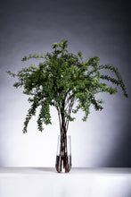 将图片加载到图库查看器，CNY/LNY2025  Spiraea cantoniensis 110cm 80pcs  380yen/pcs
