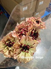 이미지를 갤러리 뷰어에 로드 , Ranunculus   Charlotte  (Rhone)  70cm 80pcs  500yen/pcs
