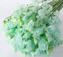 Load image into Gallery viewer, CNY/LNY2026 Lathyrus odoratus Dyed color 50cm  85yen/pcs 800pcs
