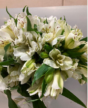 Load image into Gallery viewer, Alstroemeria　70cm 200pcs @215yen(FOB)
