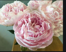 将图片加载到图库查看器，Paeonia lactiflora  Kaguyahime 80cm 260yen/pcs  90pcs
