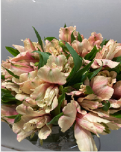 Load image into Gallery viewer, Alstroemeria　70cm 200pcs @215yen(FOB)
